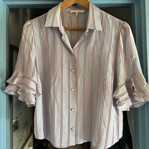 Frame 100% silk blouse